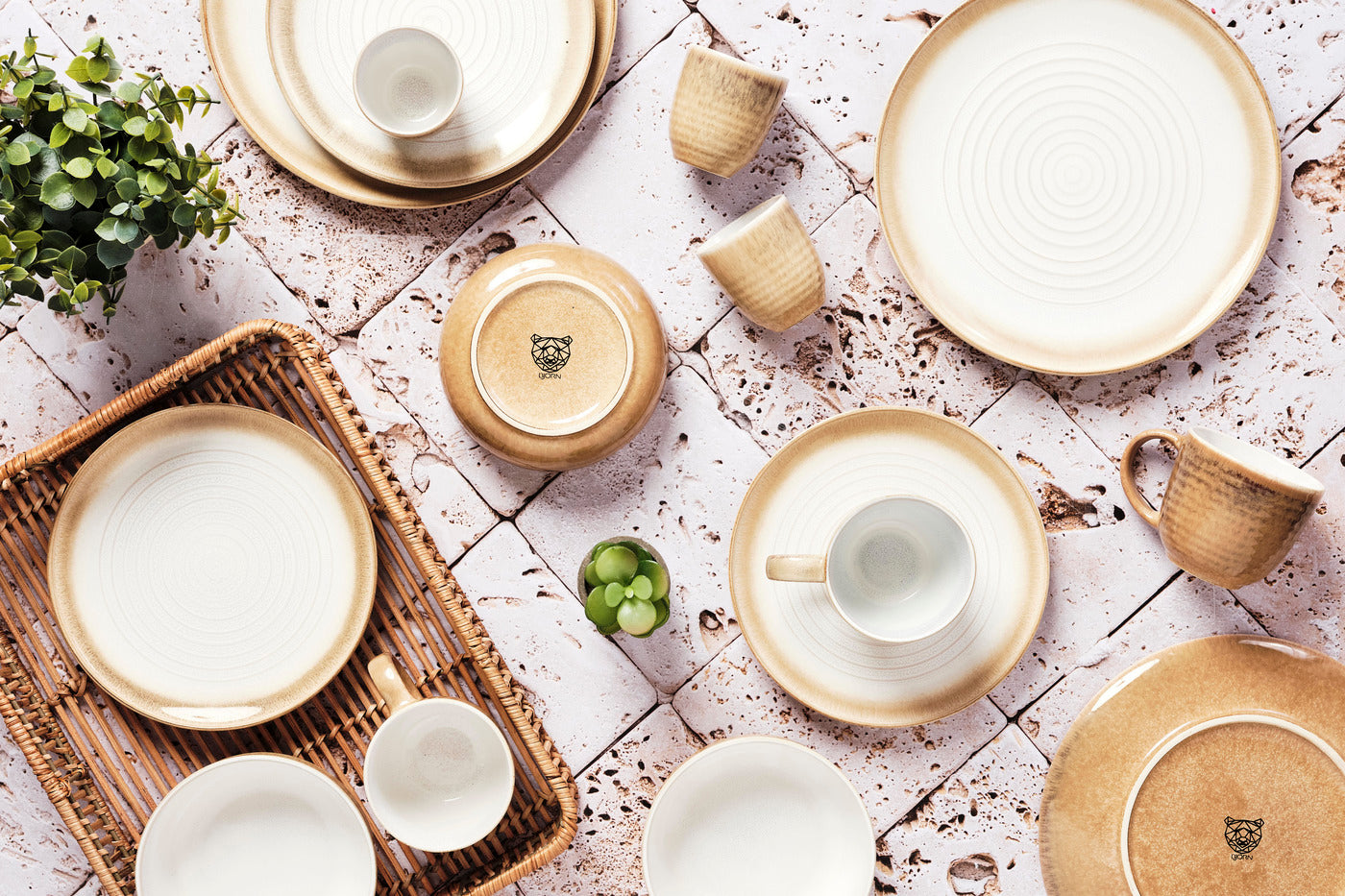 Assiette COSMOS Ø21,5cm - 6 pièces - Crème